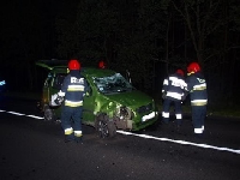 DACHOWANIE NA DRODZE NR 163 POD MOCZYŁKAMI